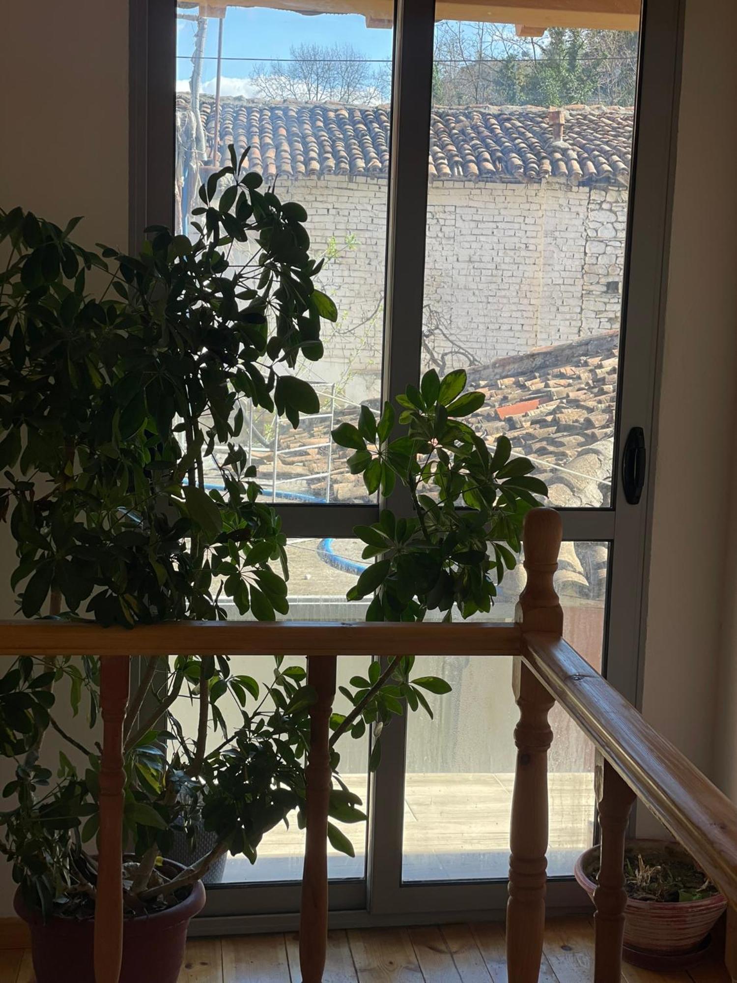 Guesthouse Kroi City Center 培拉特 外观 照片